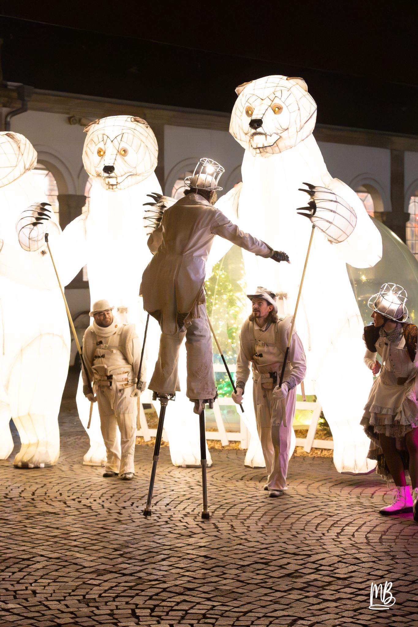 MB2024 CIE REMUE MENAGE(Gueule d'ours) (101 sur 107)